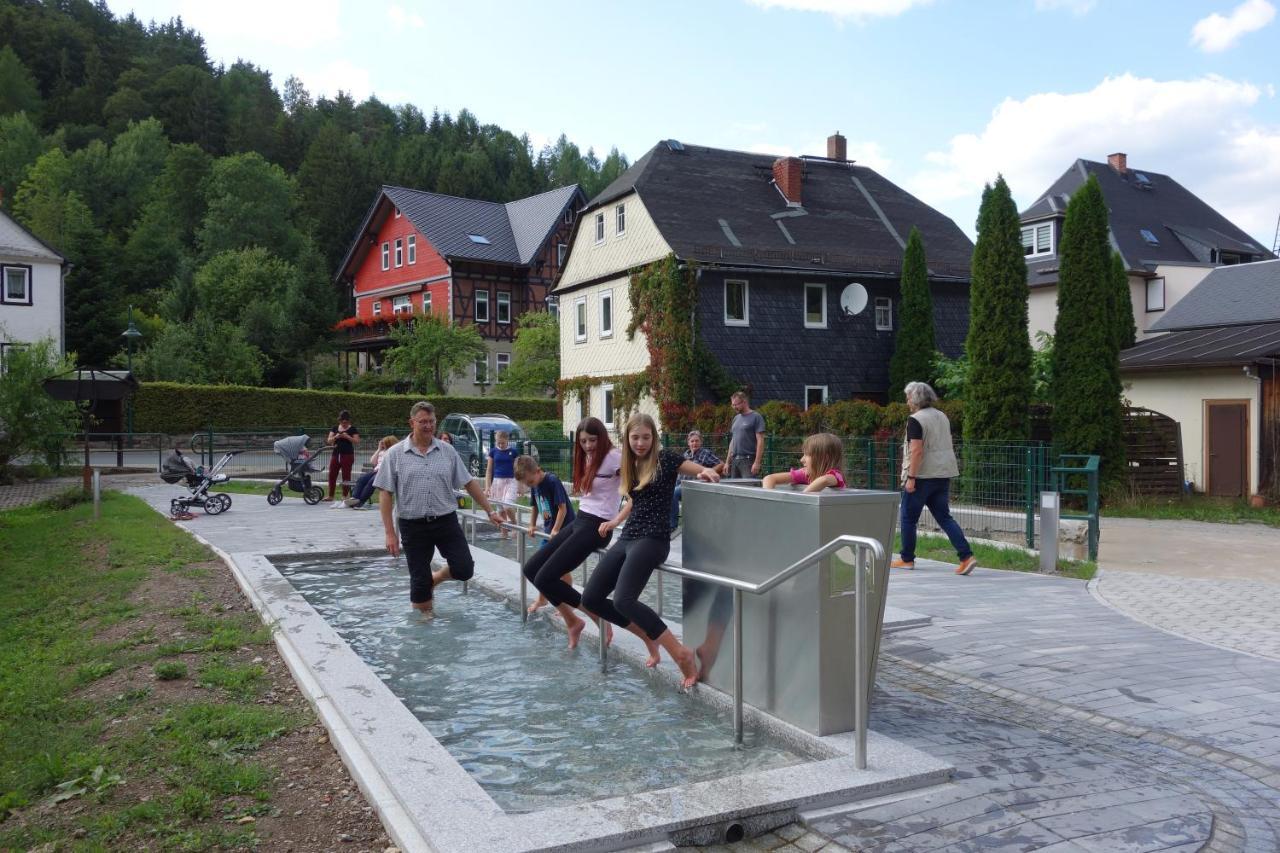 4 Sterne Ferienwohnung Sorbitztal Rohrbach  Exterior foto